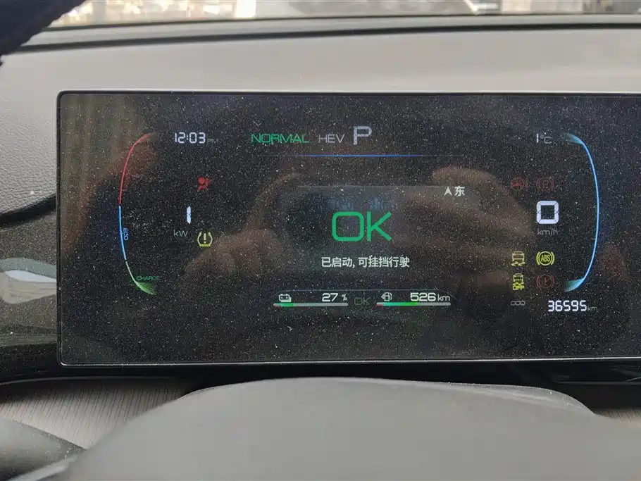 BYD SONGJIANG NEW ENERGY