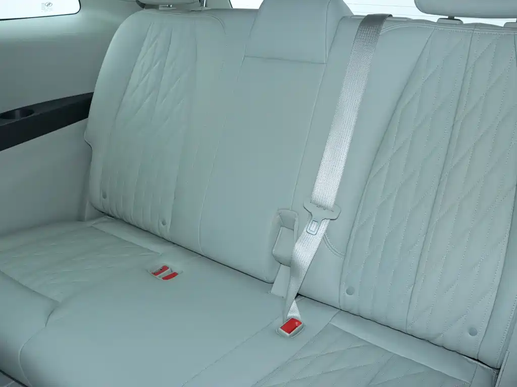 Buick GL8 Land Business Class 652T Luxury Type, фото 16