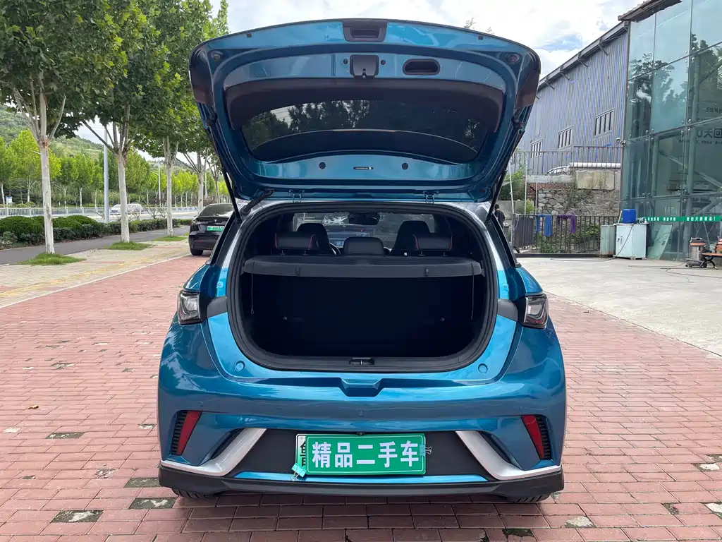 BYD Dolphin — миниатюра 13