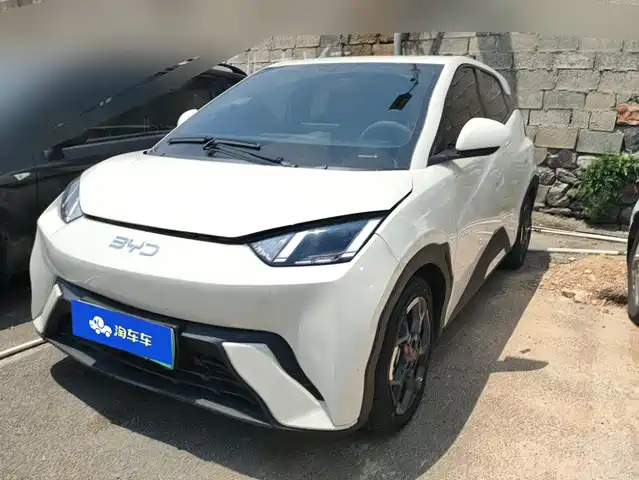 2024 BYD Seagull