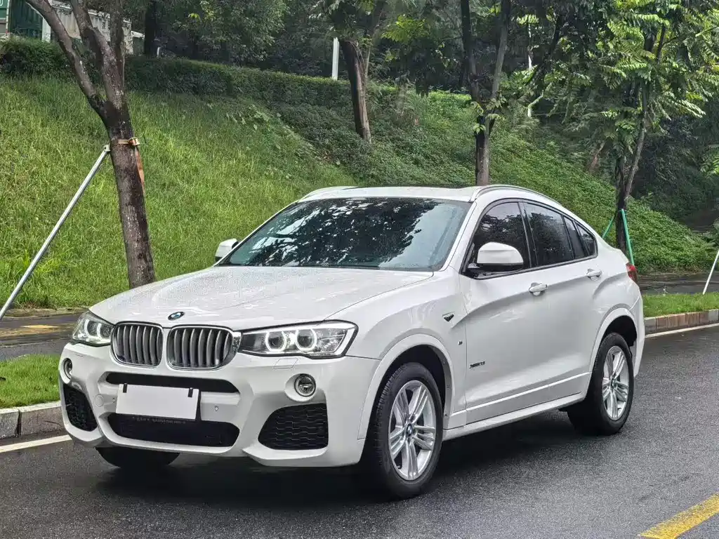 BMW X4 — миниатюра 2