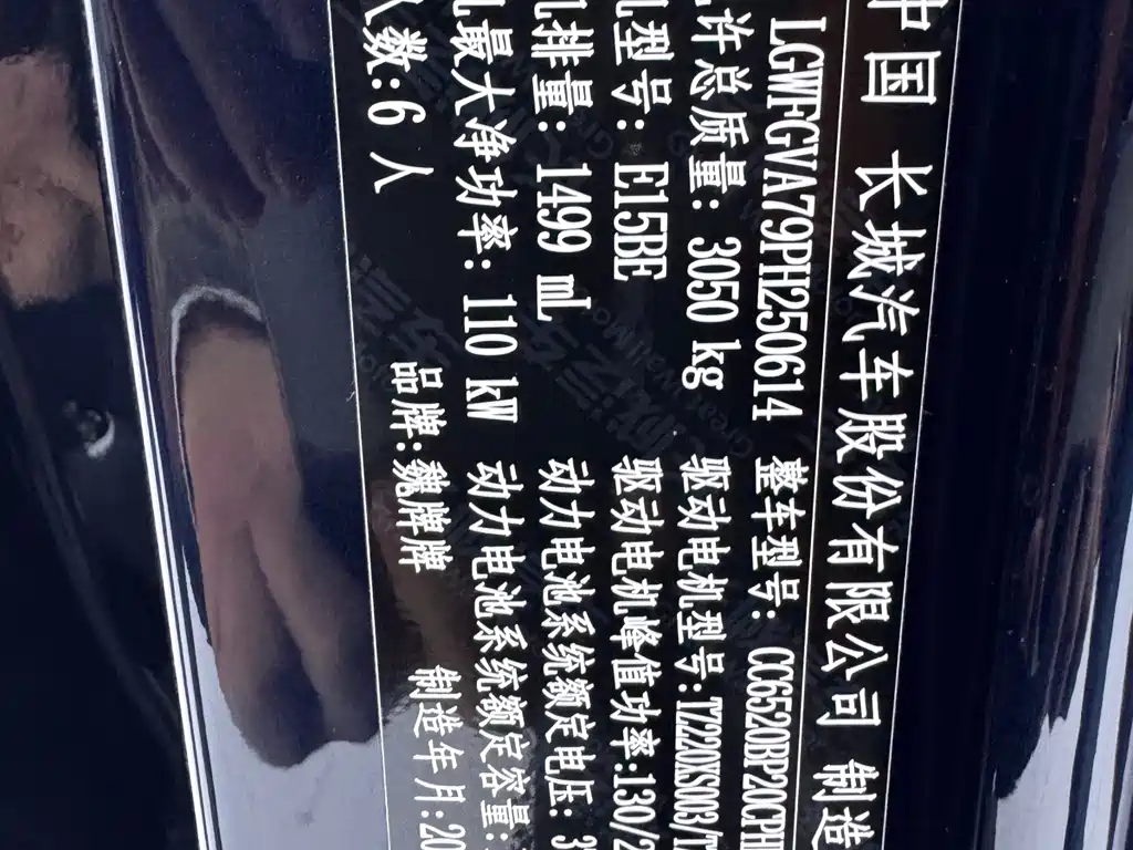 WEI PAI WEI BRAND BLUE MOUNTAIN