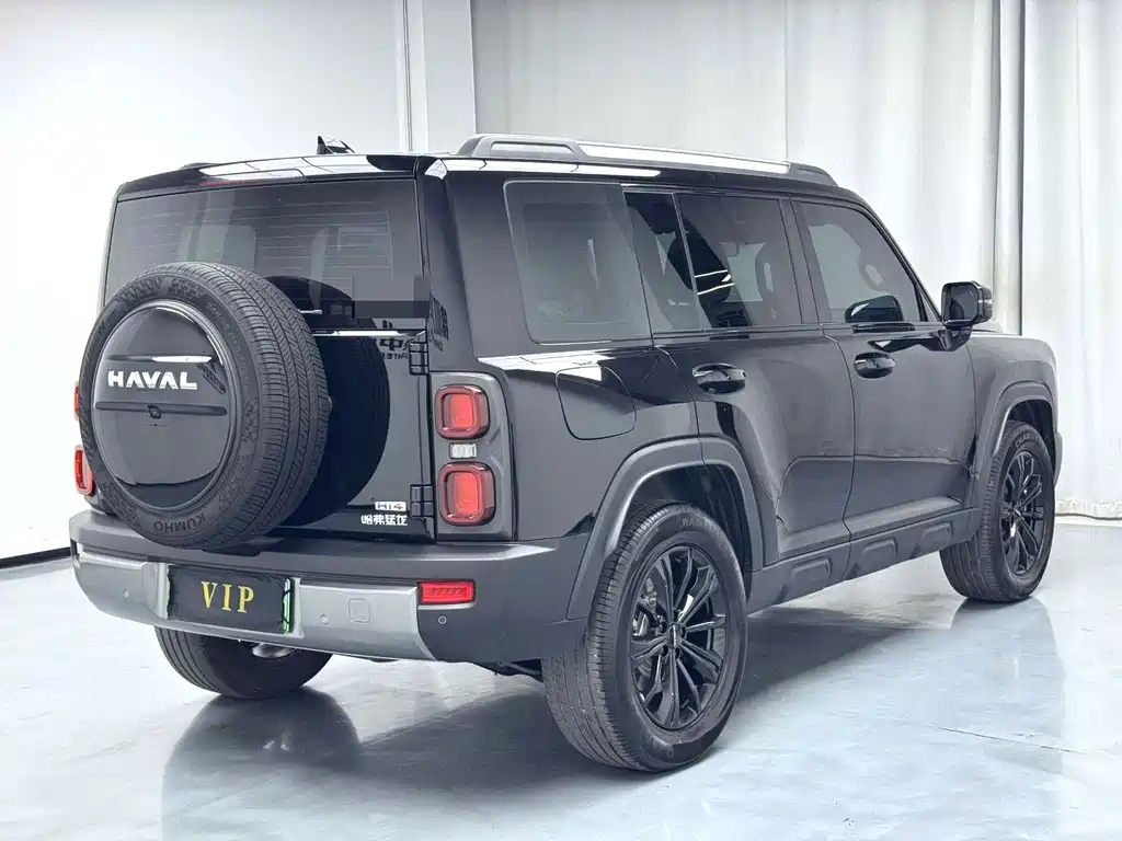 Haval Menglong New Energy — миниатюра 9
