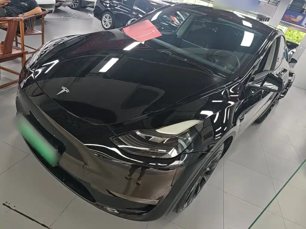 Tesla Model Y — миниатюра 2
