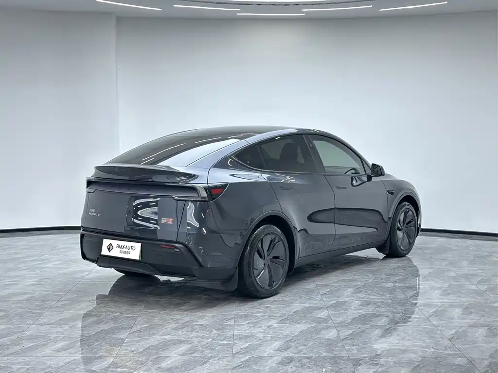 Tesla Model Y — миниатюра 4