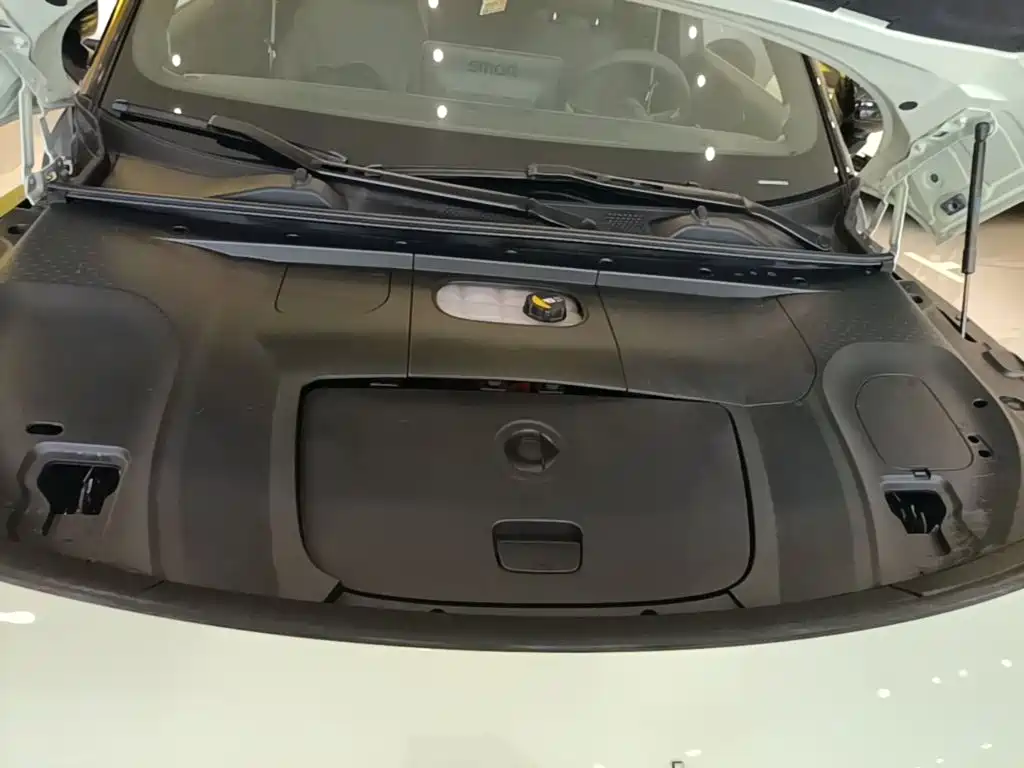 smart Smart #1 — миниатюра 20