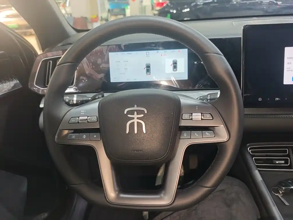 BYD Pro New Energy — миниатюра 11