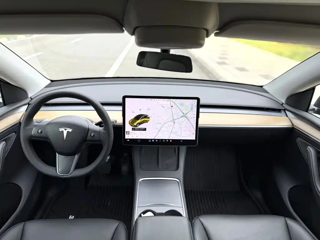 Tesla Model Y — миниатюра 5