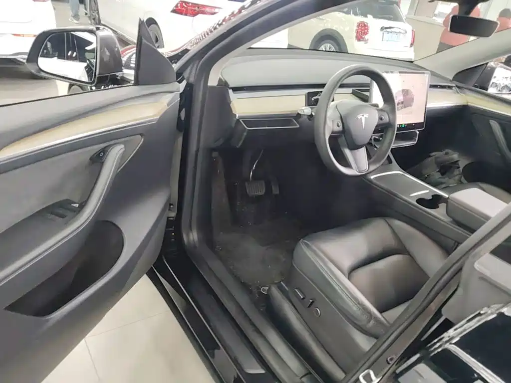 Tesla Model Y — миниатюра 16