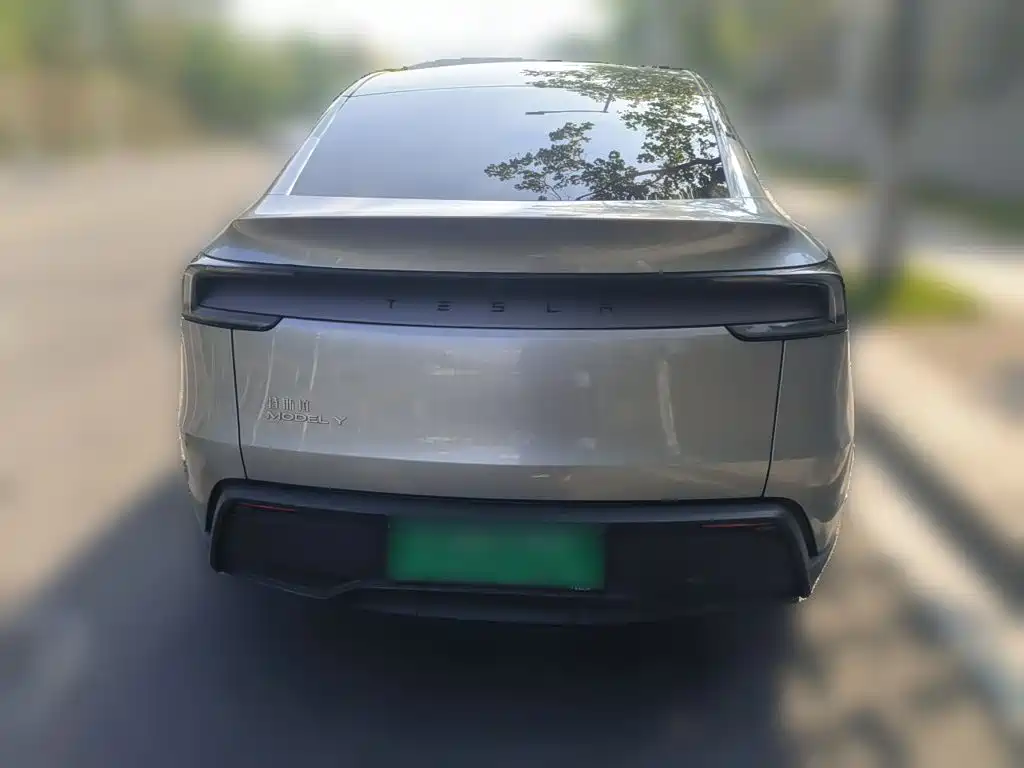 Tesla Model Y — миниатюра 3