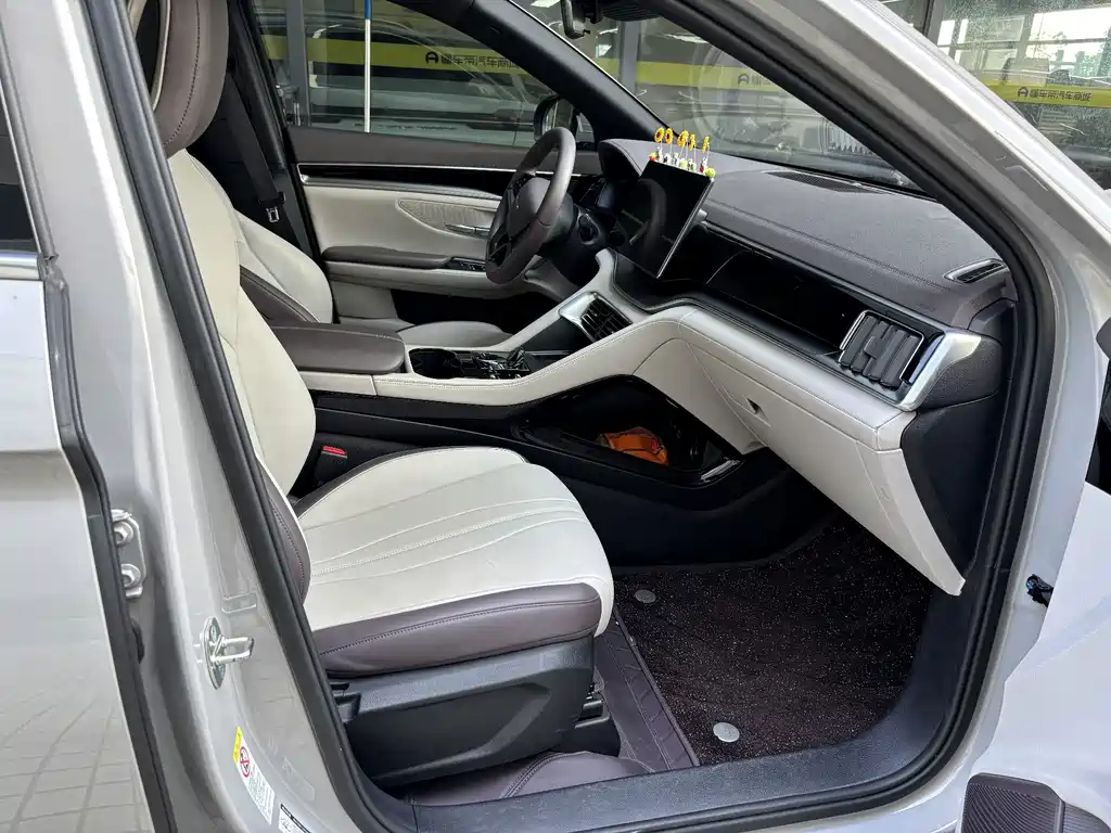 BYD PLUS New Energy — миниатюра 12