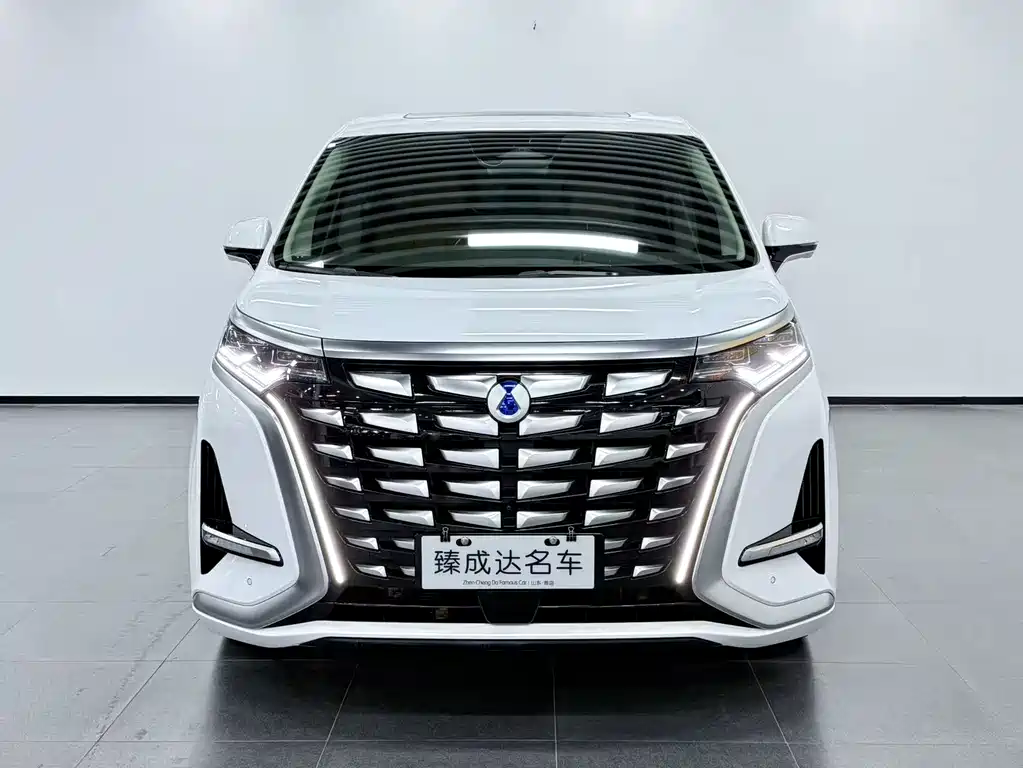 Denza Denza D9 — миниатюра 2