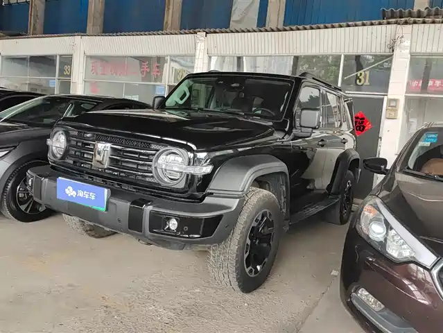 TANK TANK 300 NEW ENERGY 2025