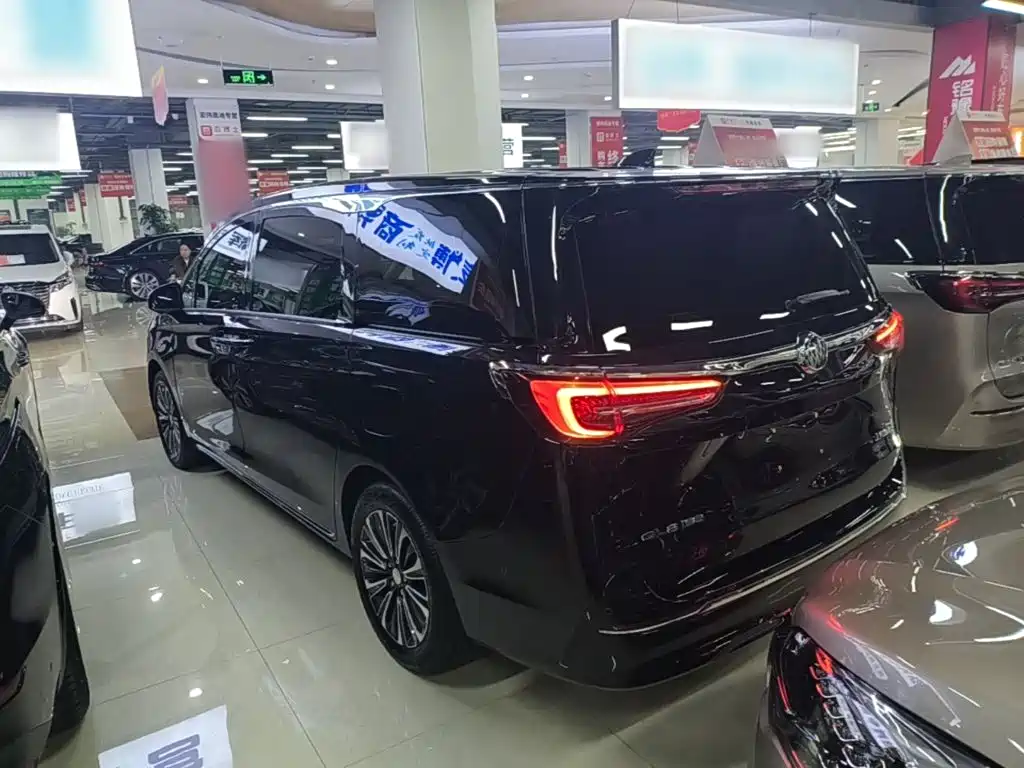 Buick GL8 — миниатюра 5