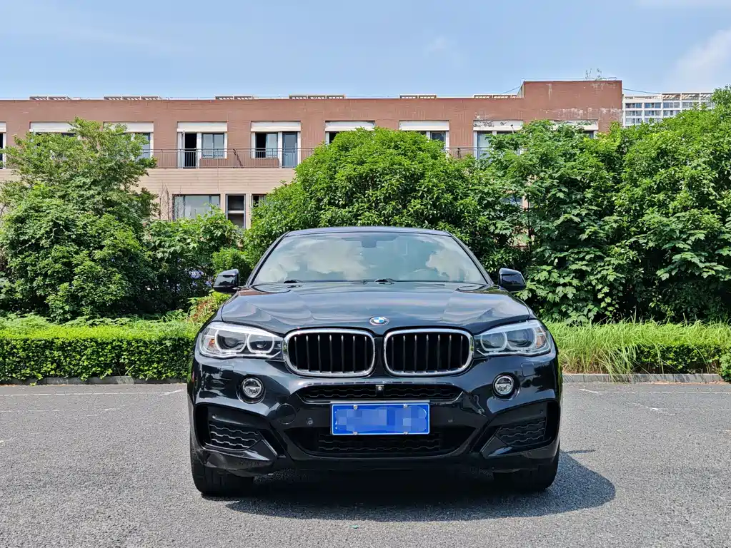 BMW X6 2019 xDrive35i M Sport