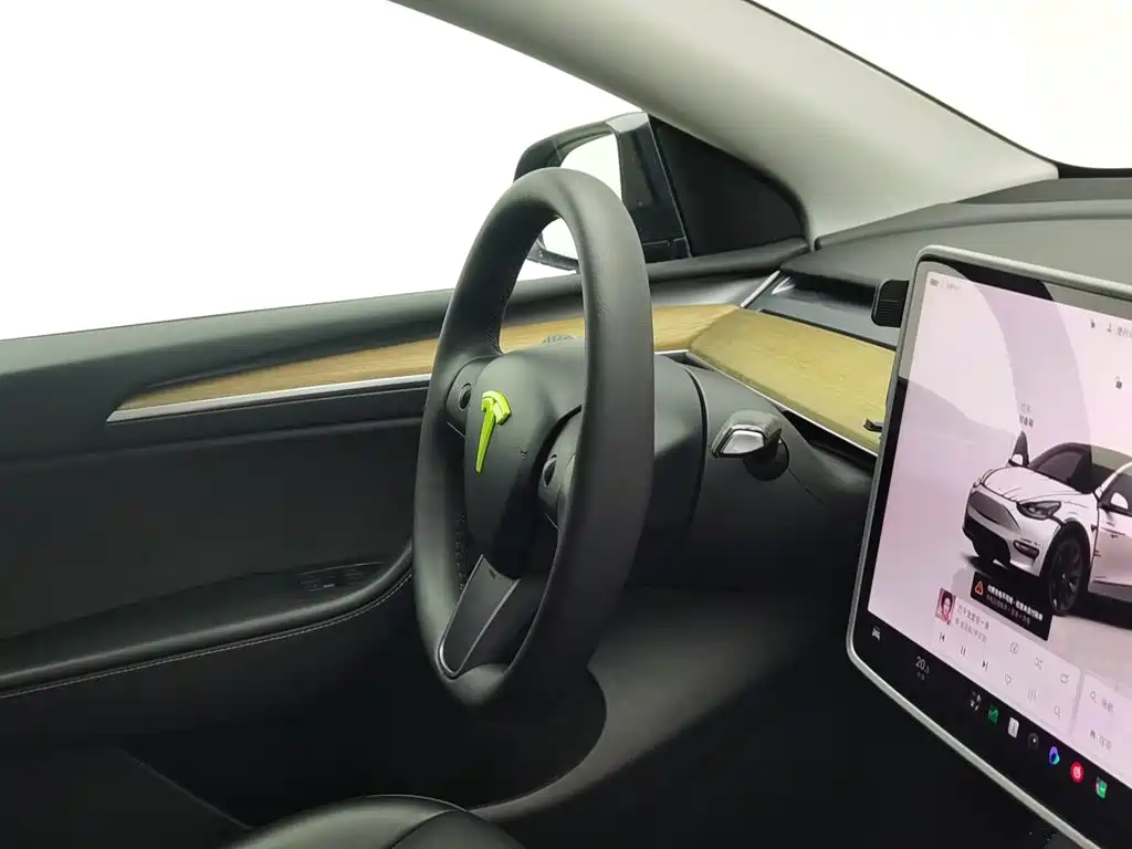 Tesla Model Y — миниатюра 22