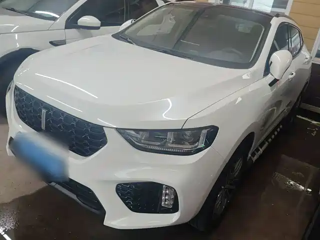 2019 Wey VV5