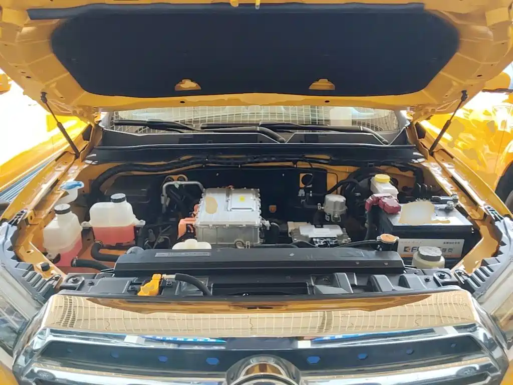 Dongfeng Rich 6 New Energy — миниатюра 20