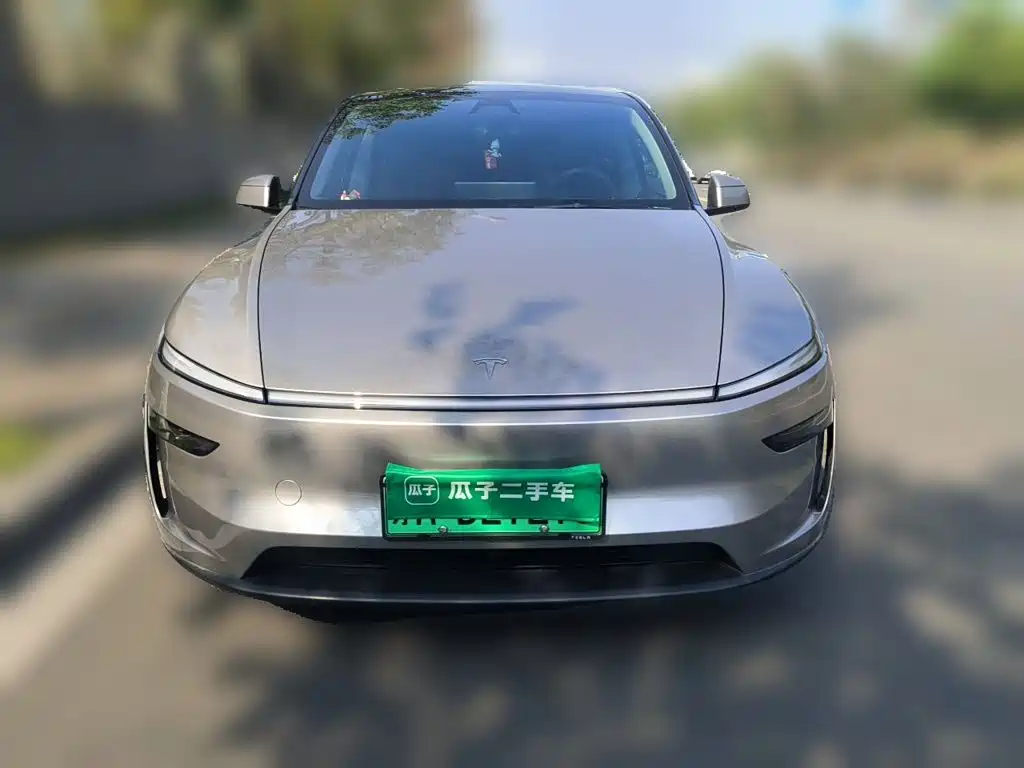 Tesla Model Y — миниатюра 2