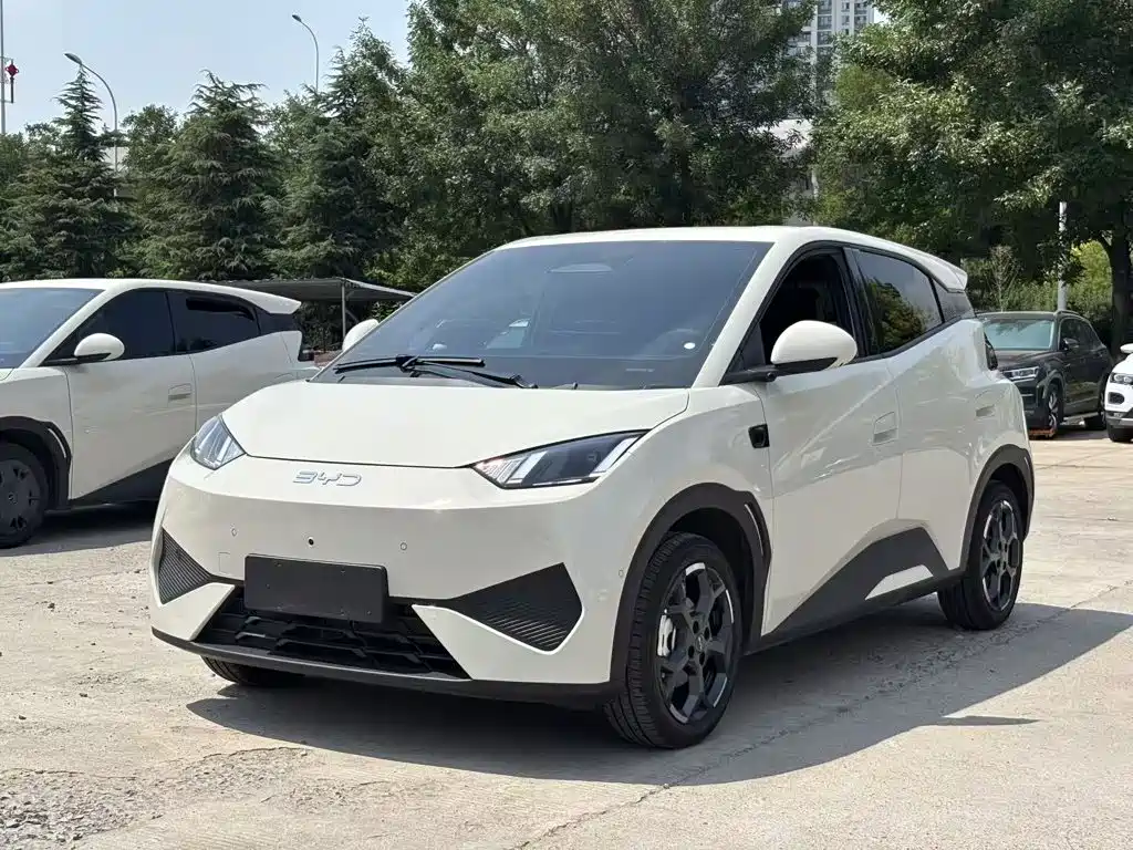 BYD Seagull 2025 Smart Drive 305km Freedom