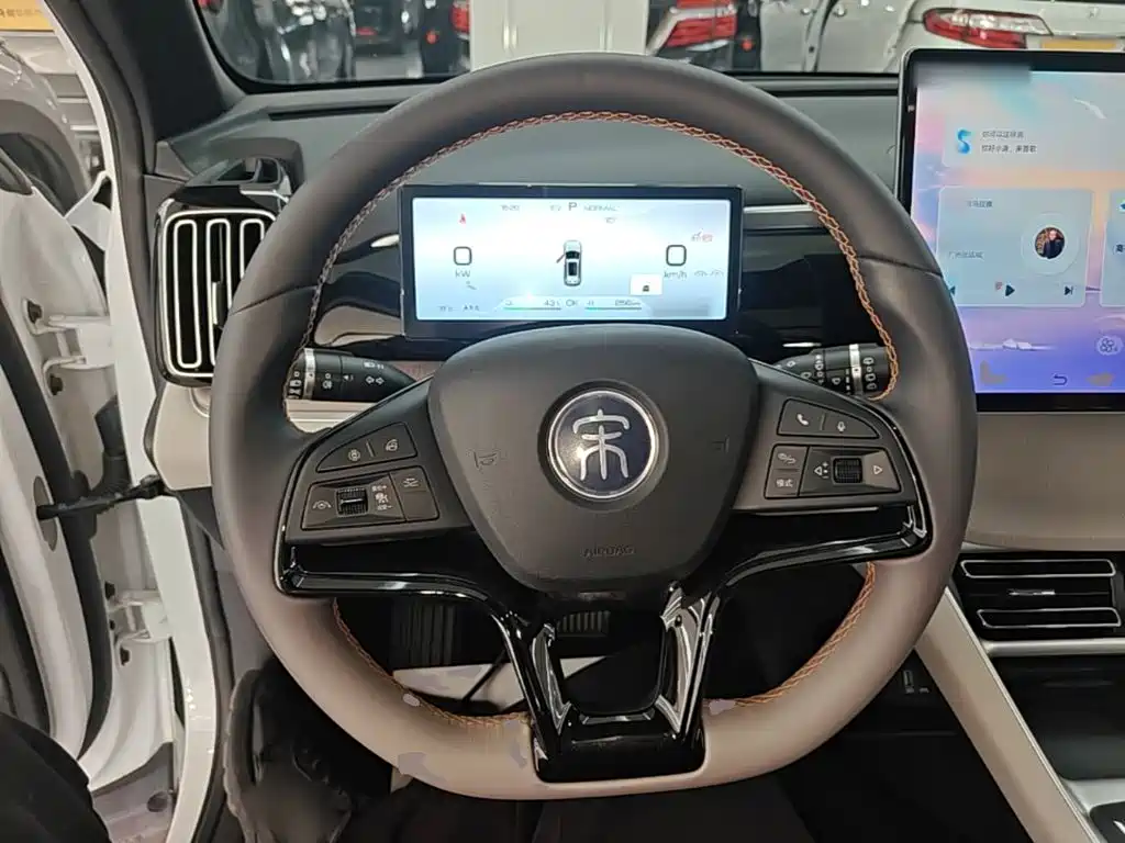 BYD Pro New Energy — миниатюра 11