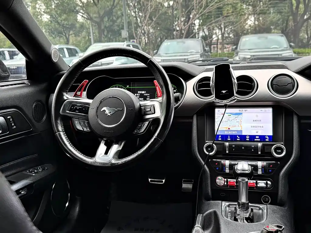 Ford Mustang — миниатюра 7
