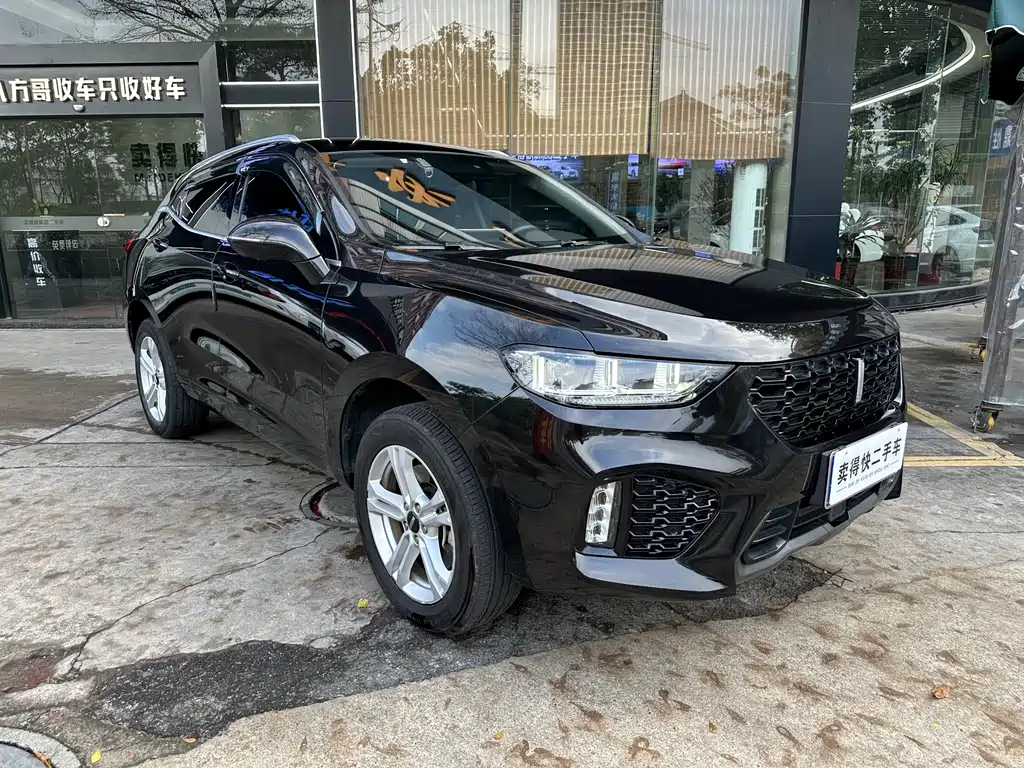 WEI PAI WEI BRAND VV5