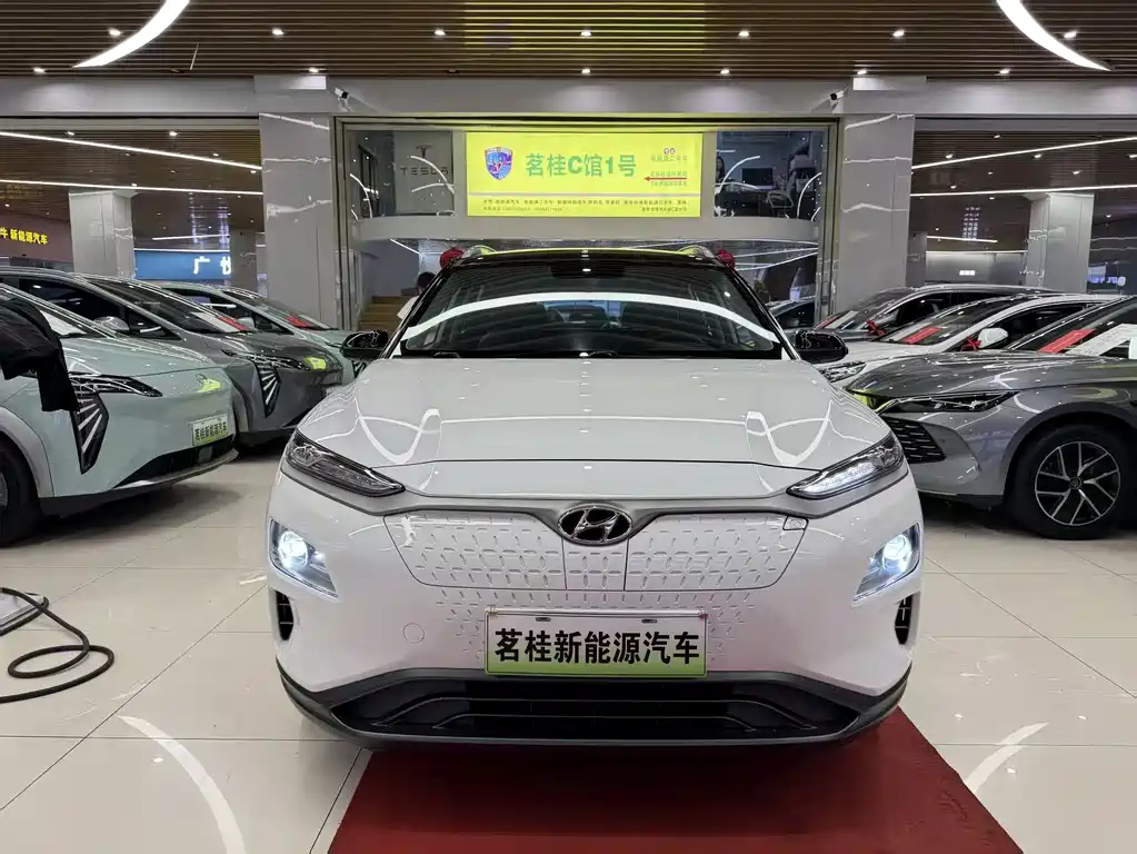 HYUNDAI ANXINO PURE ELECTRIC