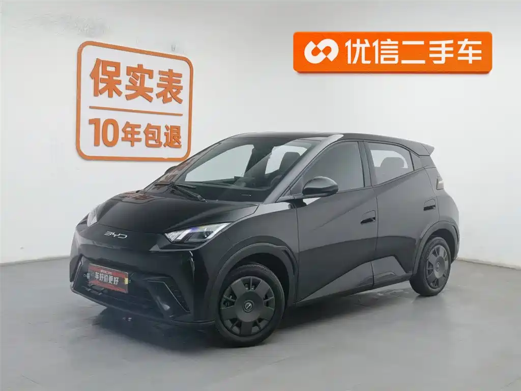 Byd Seagull 2024