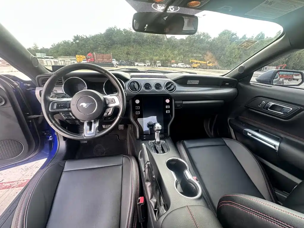 Ford Mustang — миниатюра 11