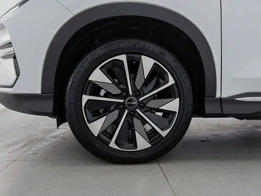 BYD PLUS New Energy — миниатюра 17