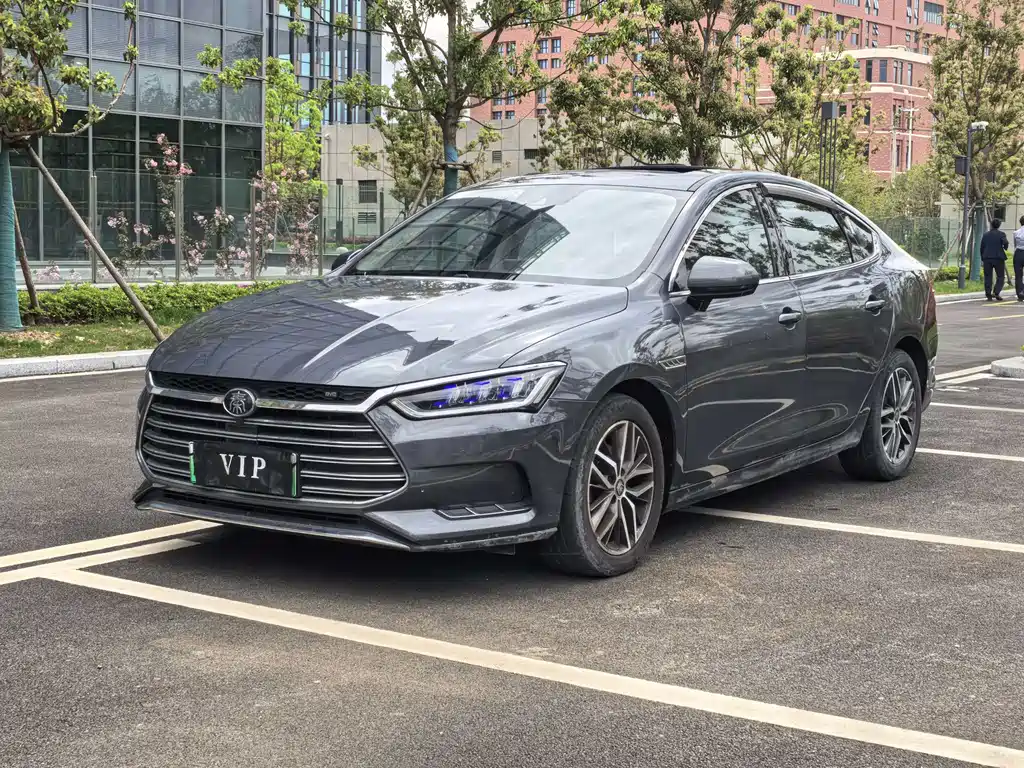 Byd Qin Pro NEV 2019