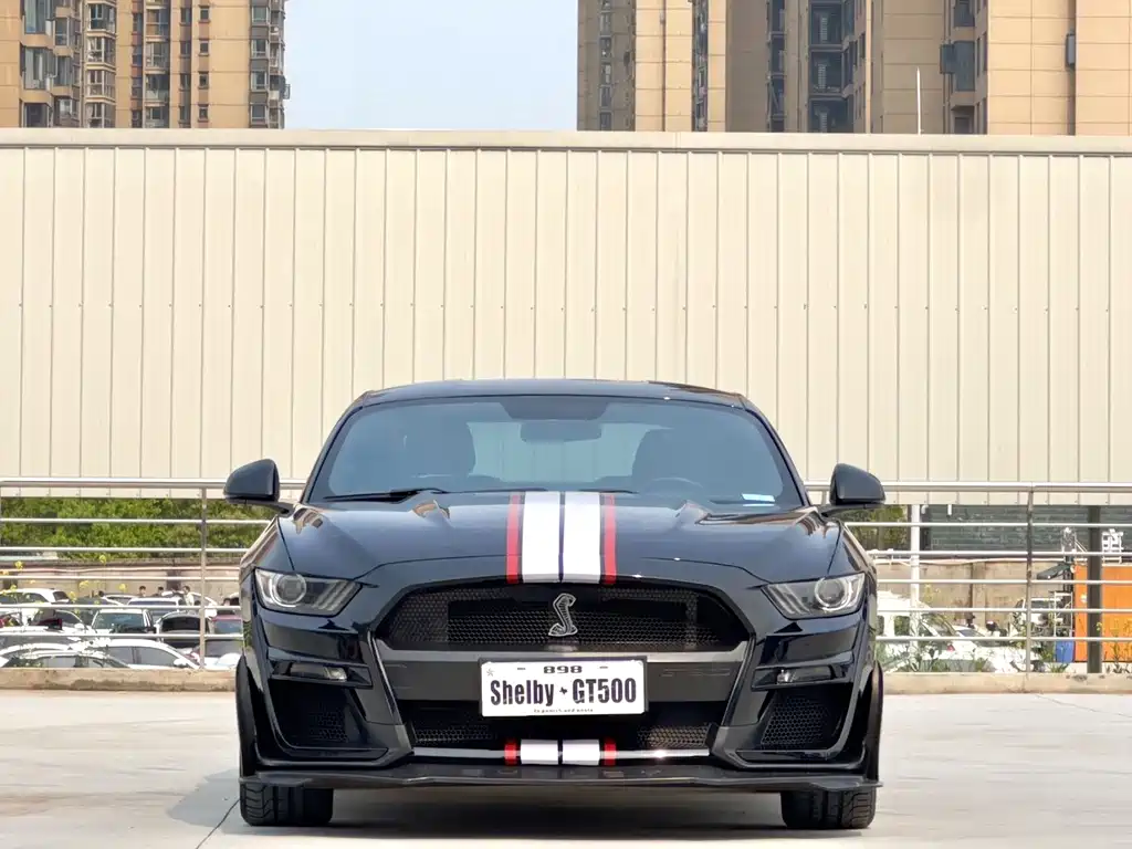 Ford Mustang — миниатюра 2