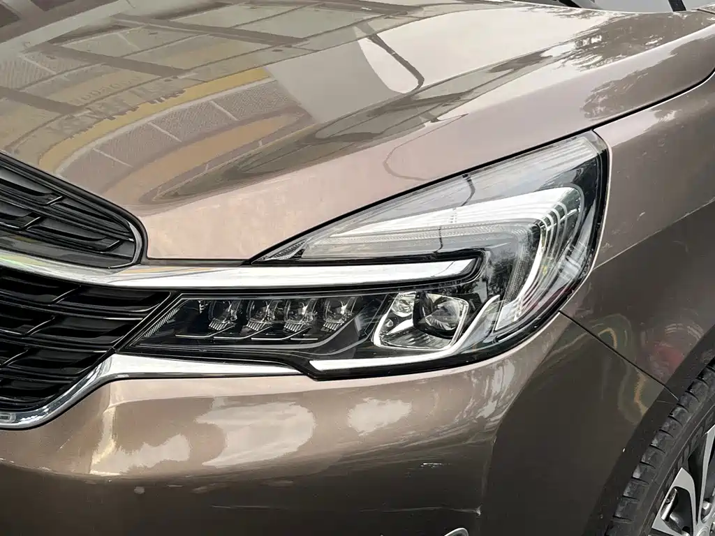 Buick GL8 — миниатюра 16