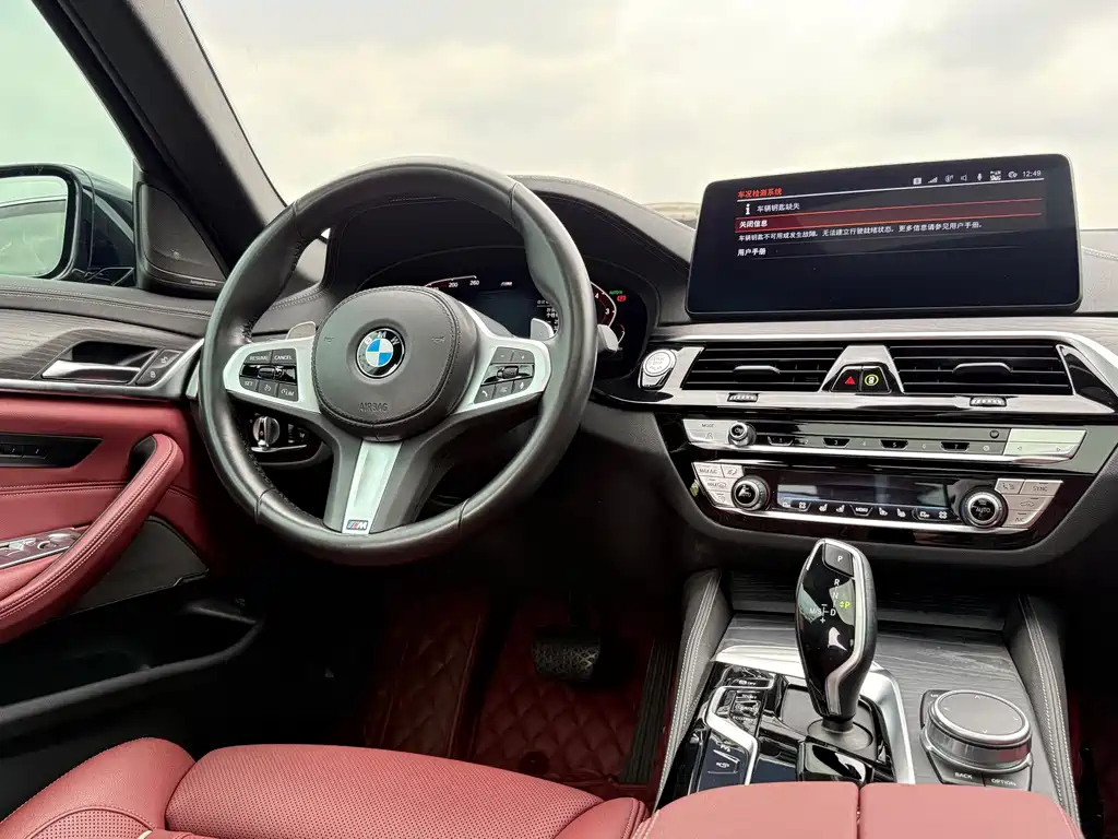 BMW 5 Series 5 2021 530Li Premium Luxury