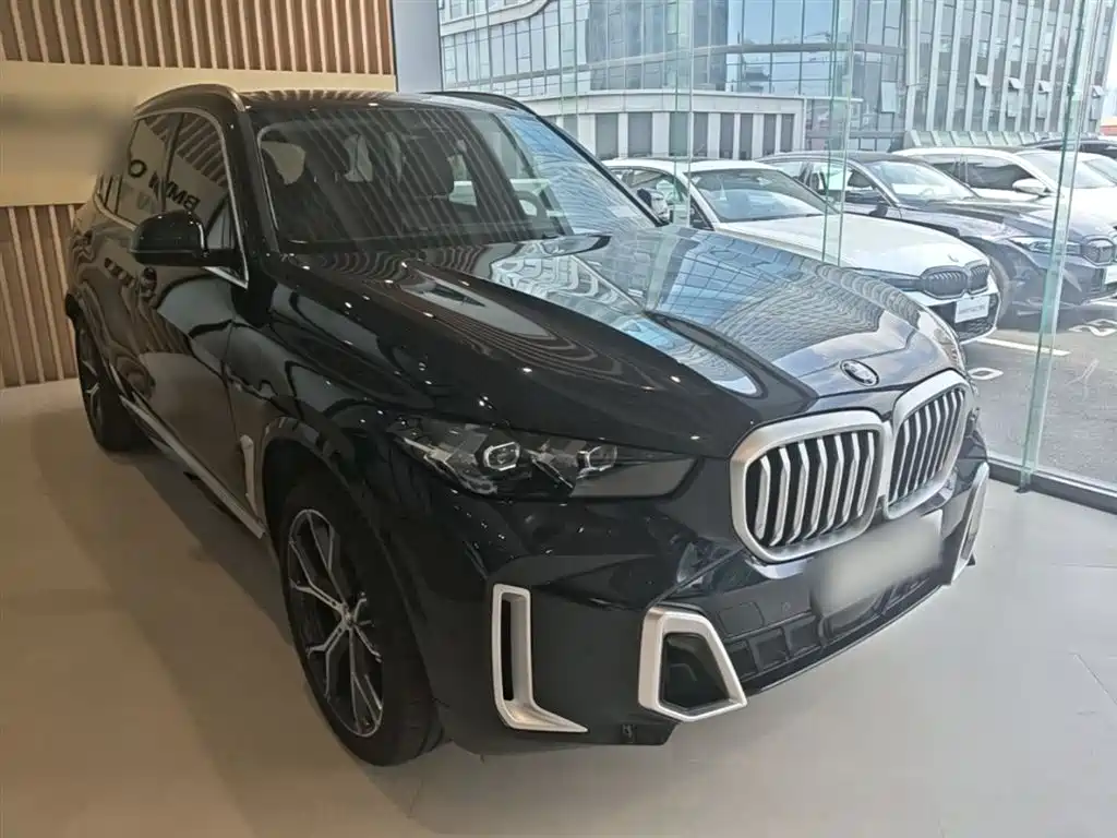 BMW X5 2023 xDrive 30Li Premium M Sport