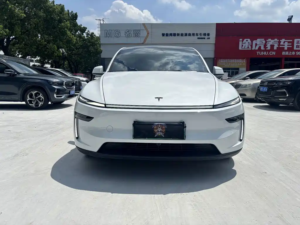 Tesla Model Y L — миниатюра 2