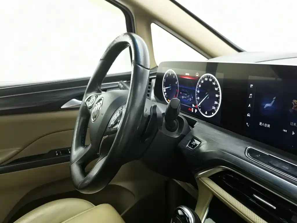 Buick GL8 — миниатюра 22