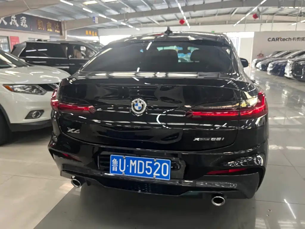 BMW X4 — миниатюра 4