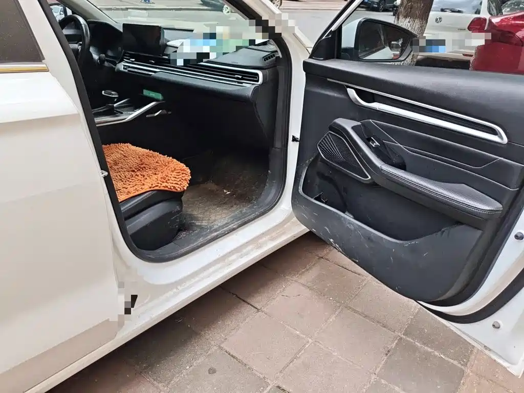 Geely Emgrand — миниатюра 19