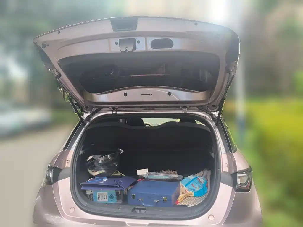 BYD Dolphin — миниатюра 15