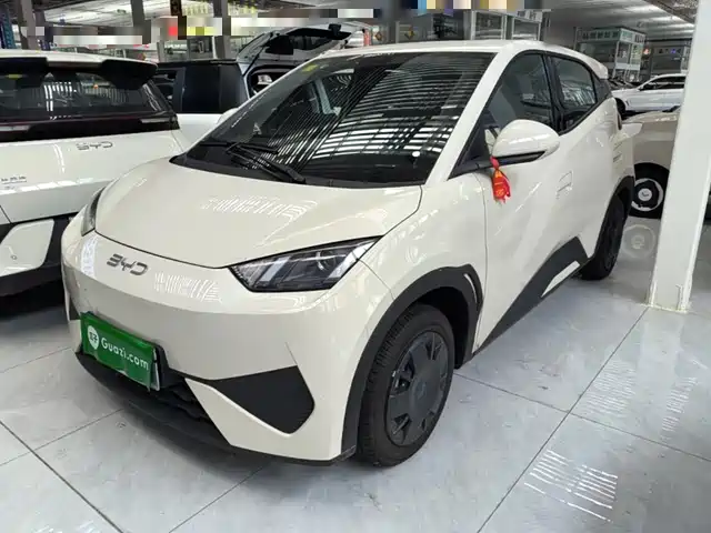 BYD Seagull