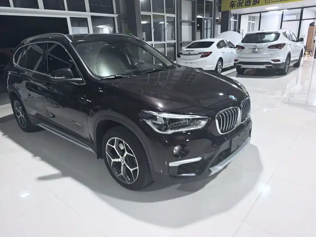 BMW X1 — миниатюра 18