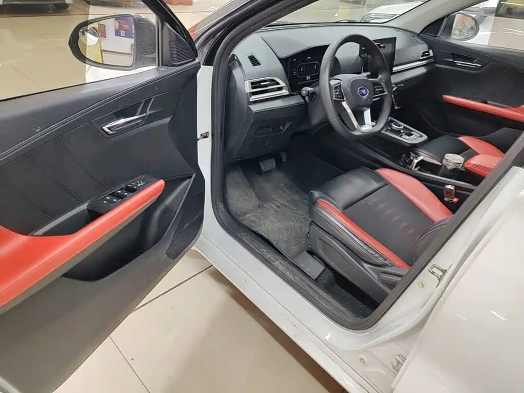BYD e2 — миниатюра 16