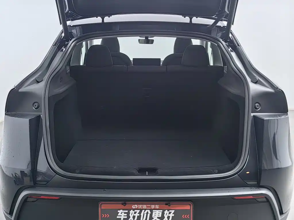 Tesla Model Y — миниатюра 16