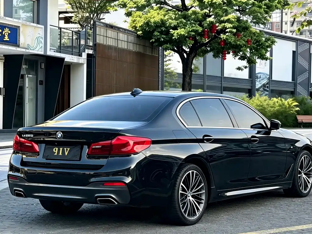 BMW 5 Series 5 2019 530Li Lead M Sport