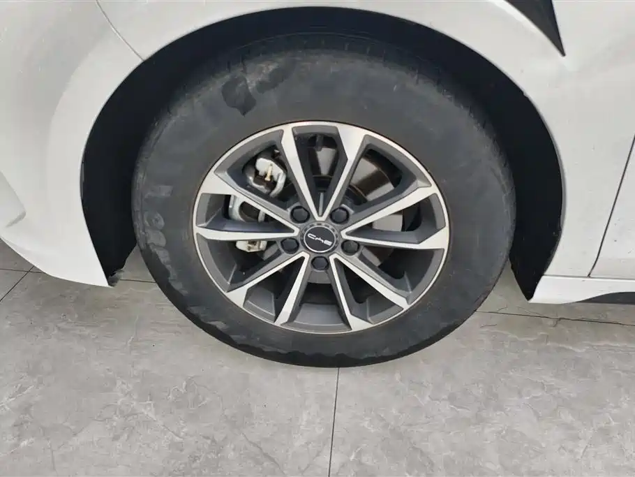 BYD Destroyer 05 2023 Champion DM-i 55KM Luxury