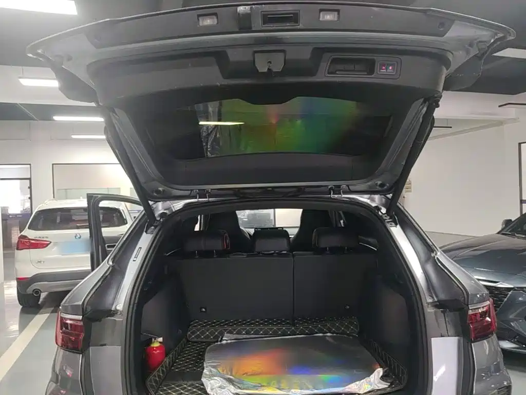 BYD PLUS — миниатюра 19