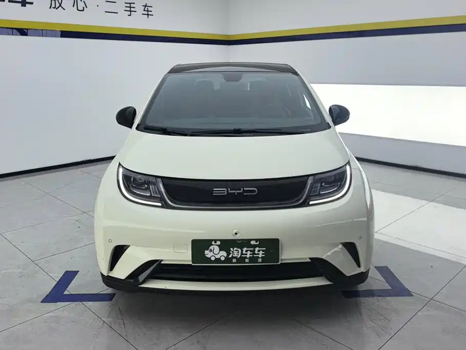 BYD Dolphin — миниатюра 2