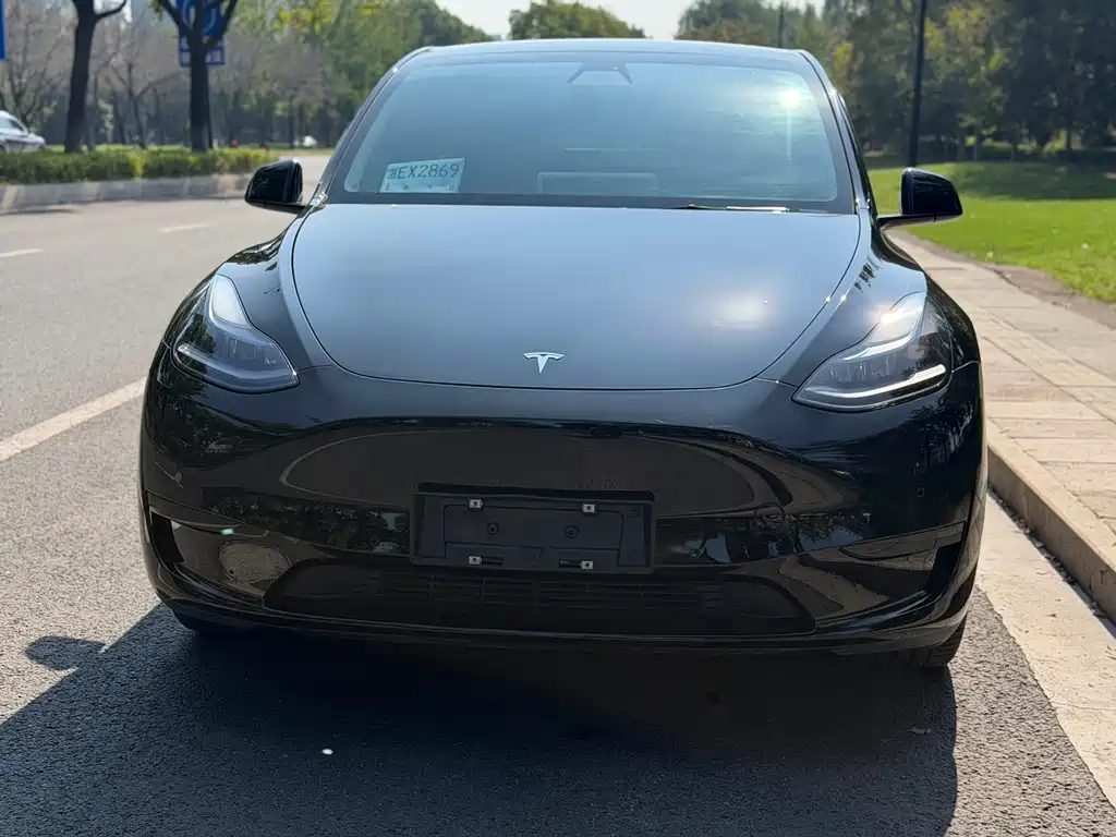 Tesla Model Y — миниатюра 2
